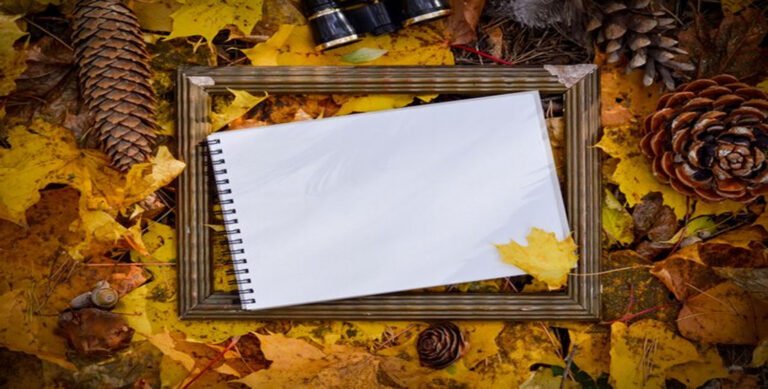 Bunkralbum: A Deep Dive into the Rising Trend